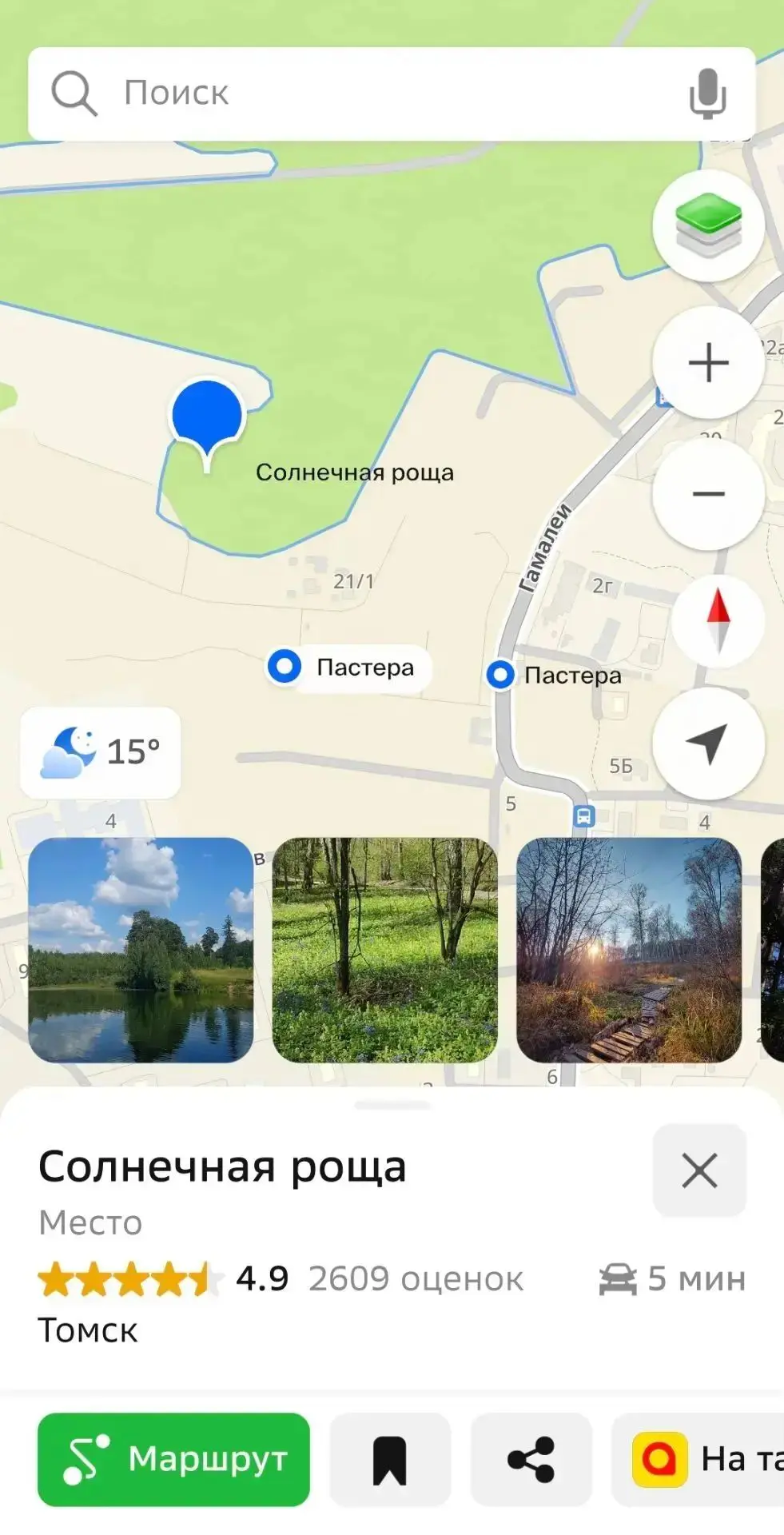 😱  Медведь попал в объектив камеры на улице Пастера — рядом лицей на Дизайнеров
