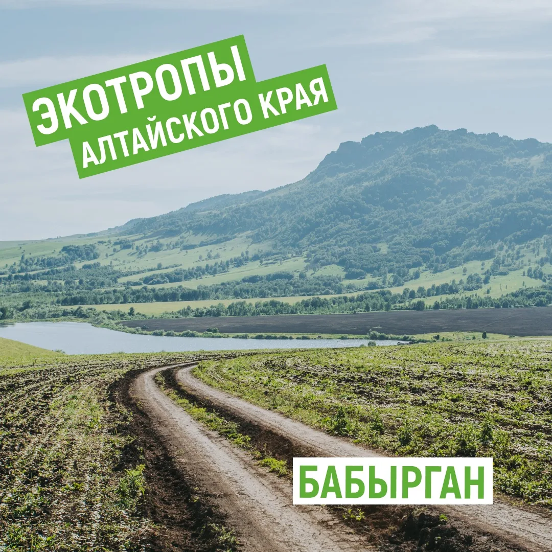 🌿 Новая рубрика — экотропы Алтайского края