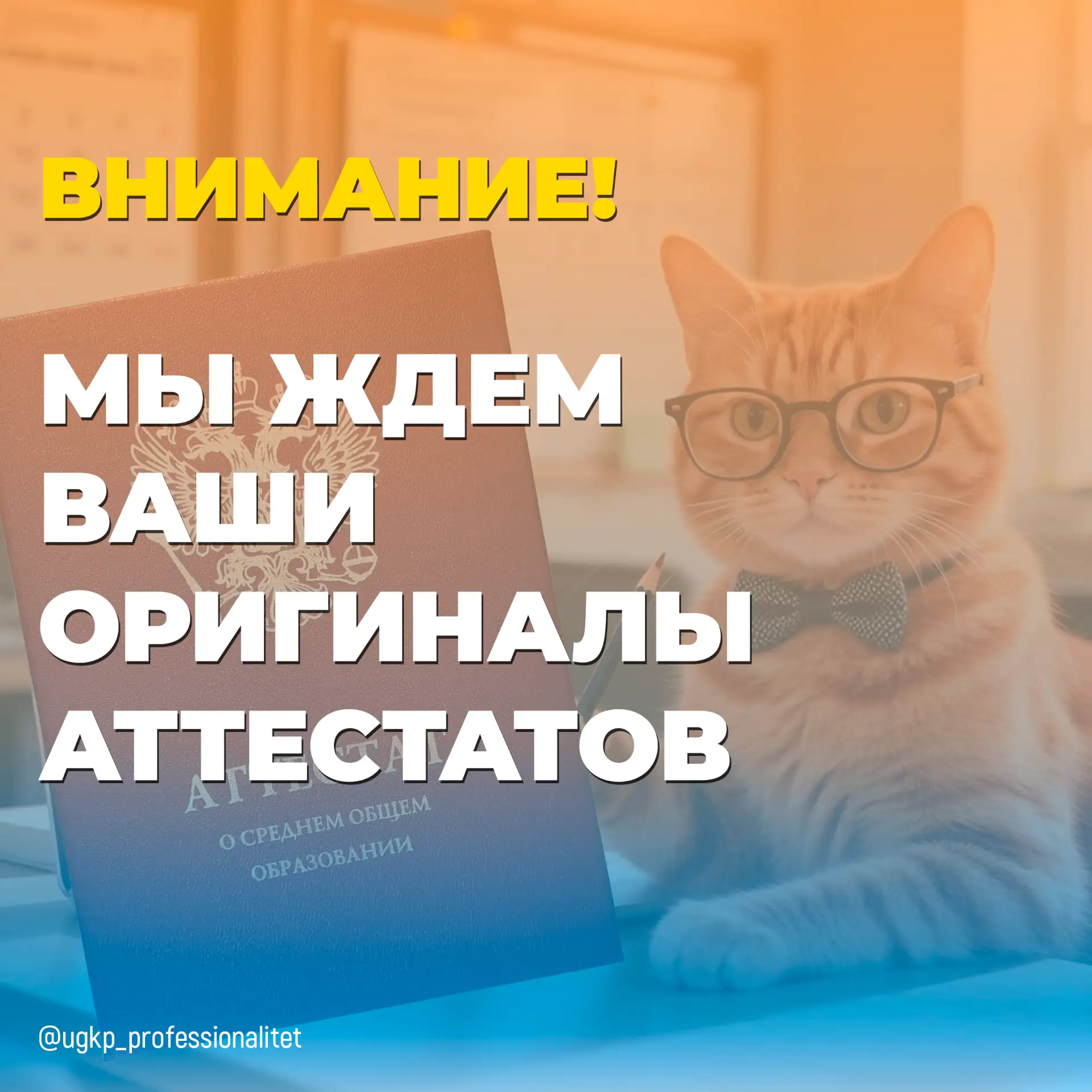 Уважаемые абитуриенты!

Напоминаем вам, что для участия в конкурсе на зачисление в колледж необходим