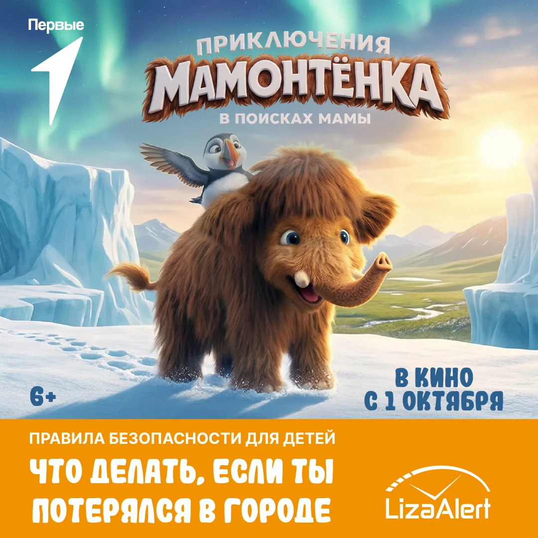 Если потерялся — главное знать, что делать❗