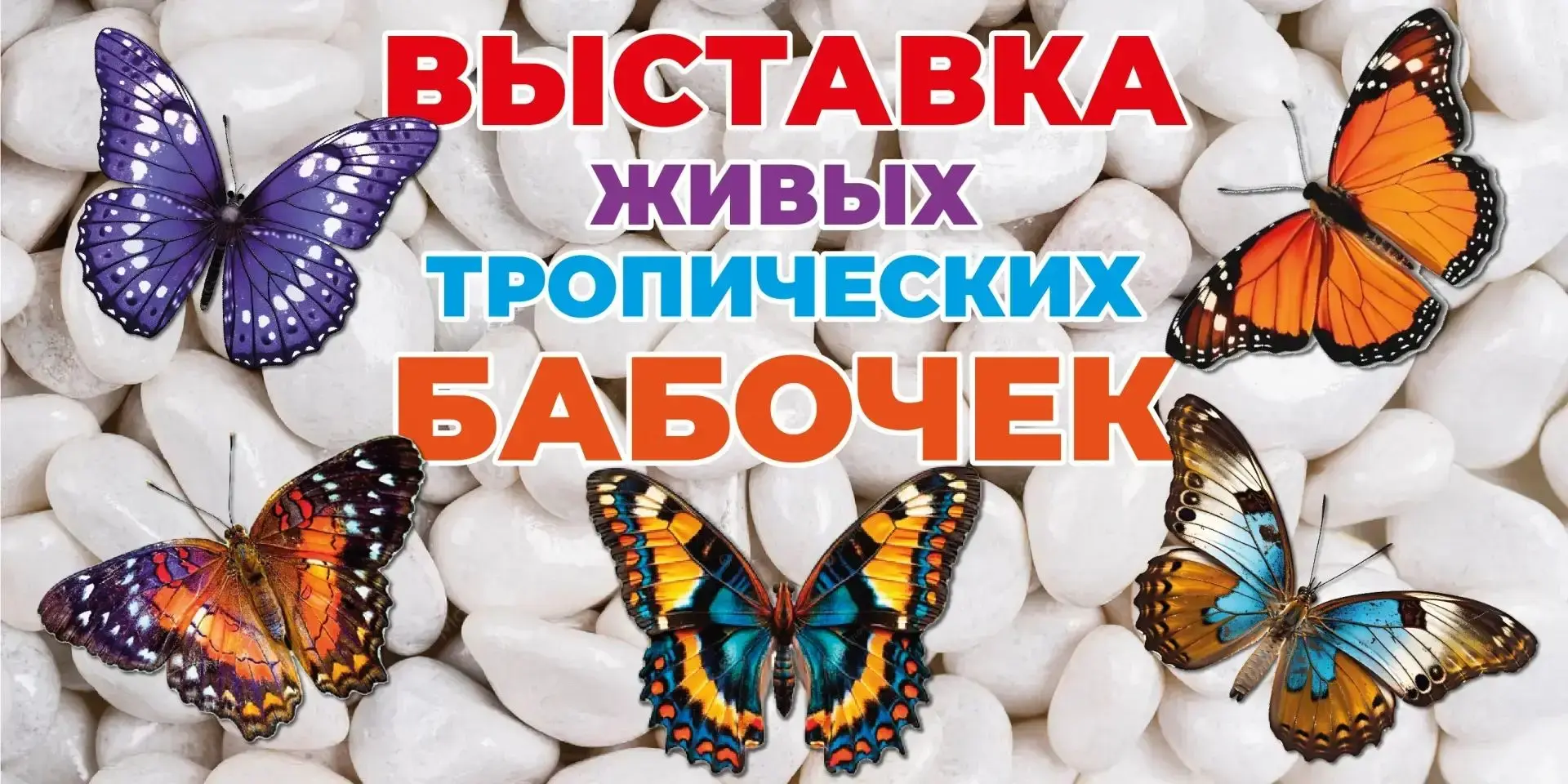 12 сентября в Дворце Культуры ПОБЕДА ул. Ленинградская 18 один день с 13:00 до 17:00 ча...