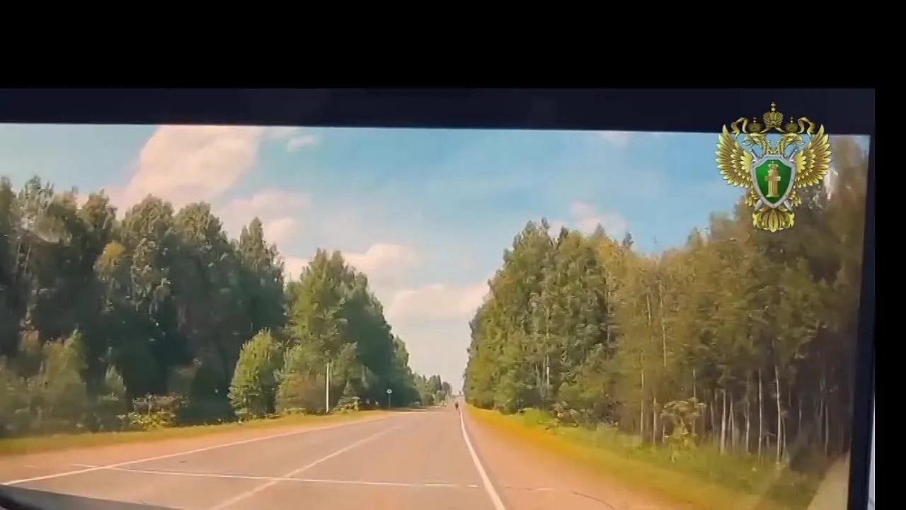 📌Пьяный водитель насмерть сбил велосипедиста в Даровском: суд назначил 5 лет колонии.