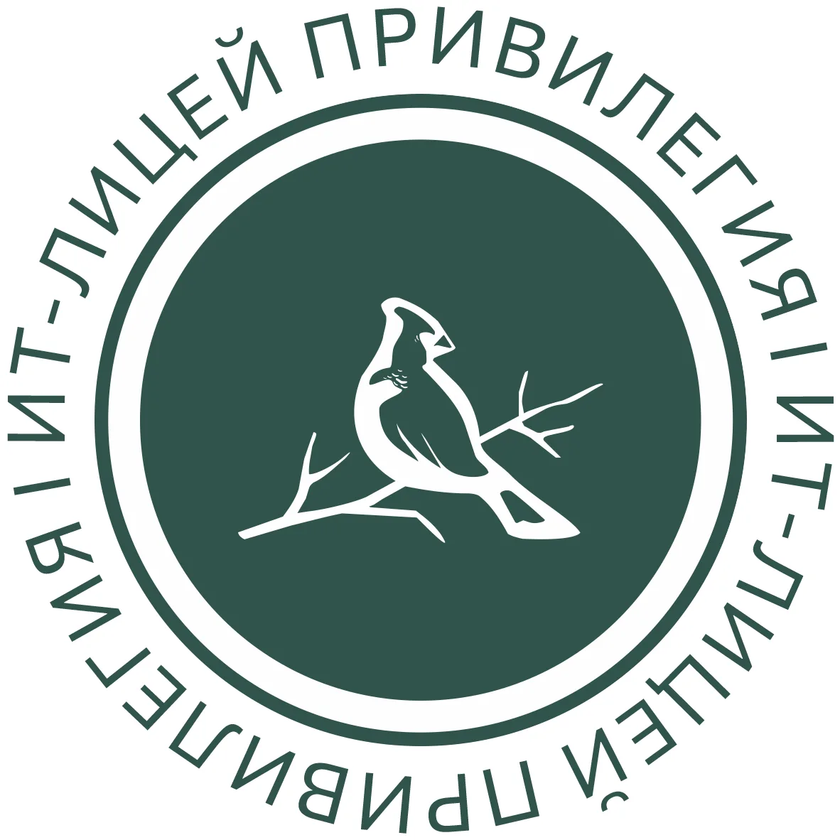 30.06.2026 завершился первый этап приемной кампании в 1 классы на 2026/2027 учебный год. С приказом 