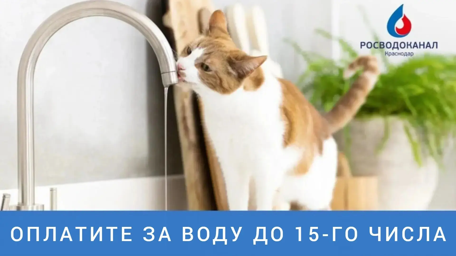Росводоканал Краснодар напоминает о сроках и способах оплаты услуг

⏳ Росводоканал Краснодар напомин