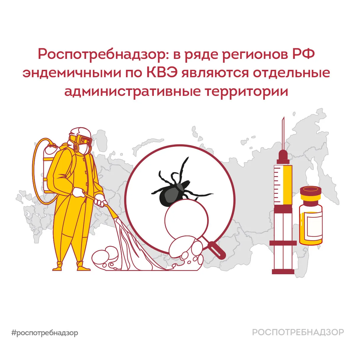 Роспотребнадзор: в ряде регионов РФ эндемичными по КВЭ являются отдельные административные территори