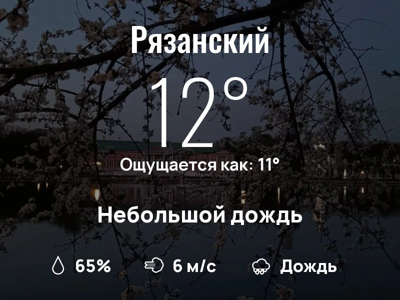 Что с погодой в Рязанском?