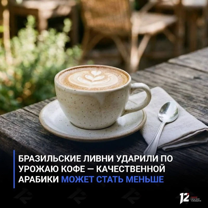 Бразильские ливни негативно сказались на урожае кофе
