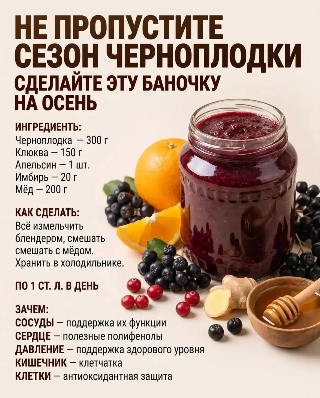 Черноплодку осенью точно не стоит обходить стороной 🌿