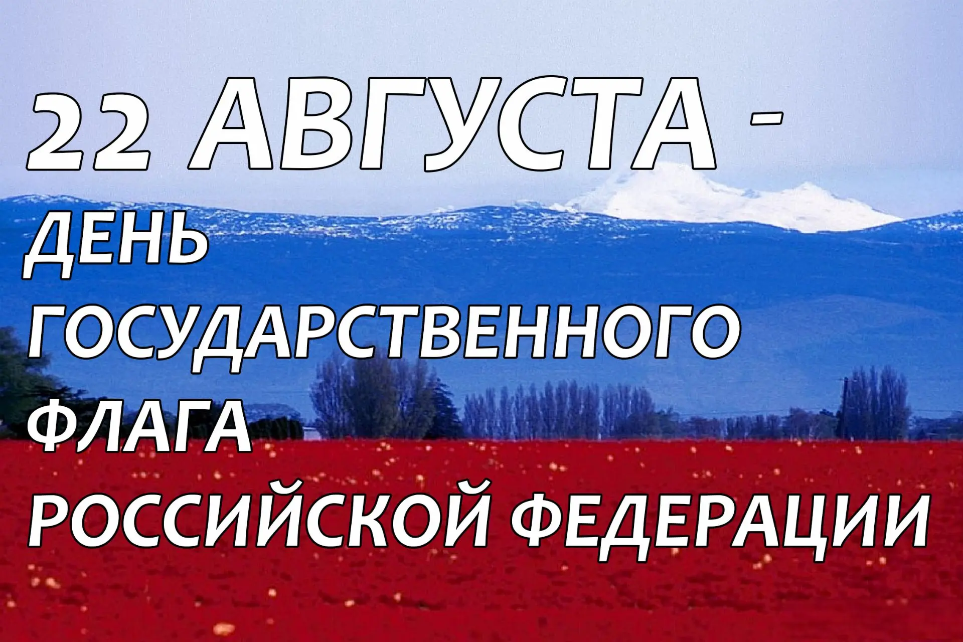 С Днем российского флага! 🇷🇺