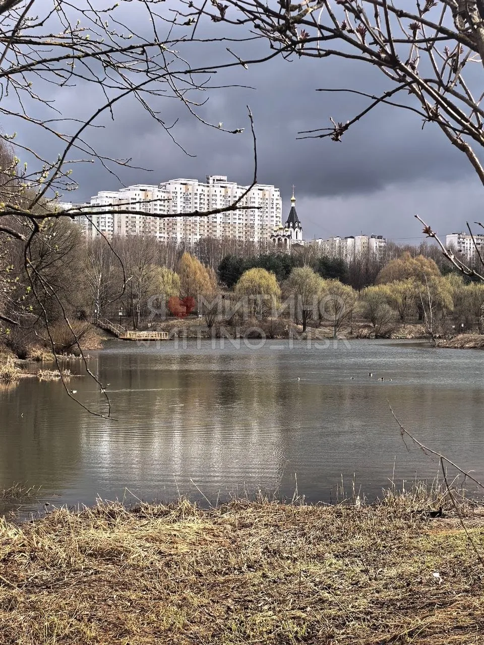 🌿Несмотря ни на какие непогоды и невзгоды природа Митино оживает  Спасибо, что присылаете ваши фото 