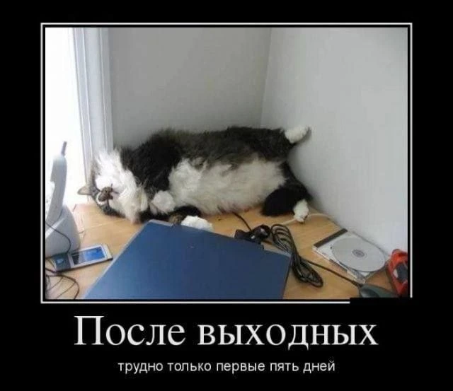 🤯Первый рабочий день после выходных может убить, — эксперты