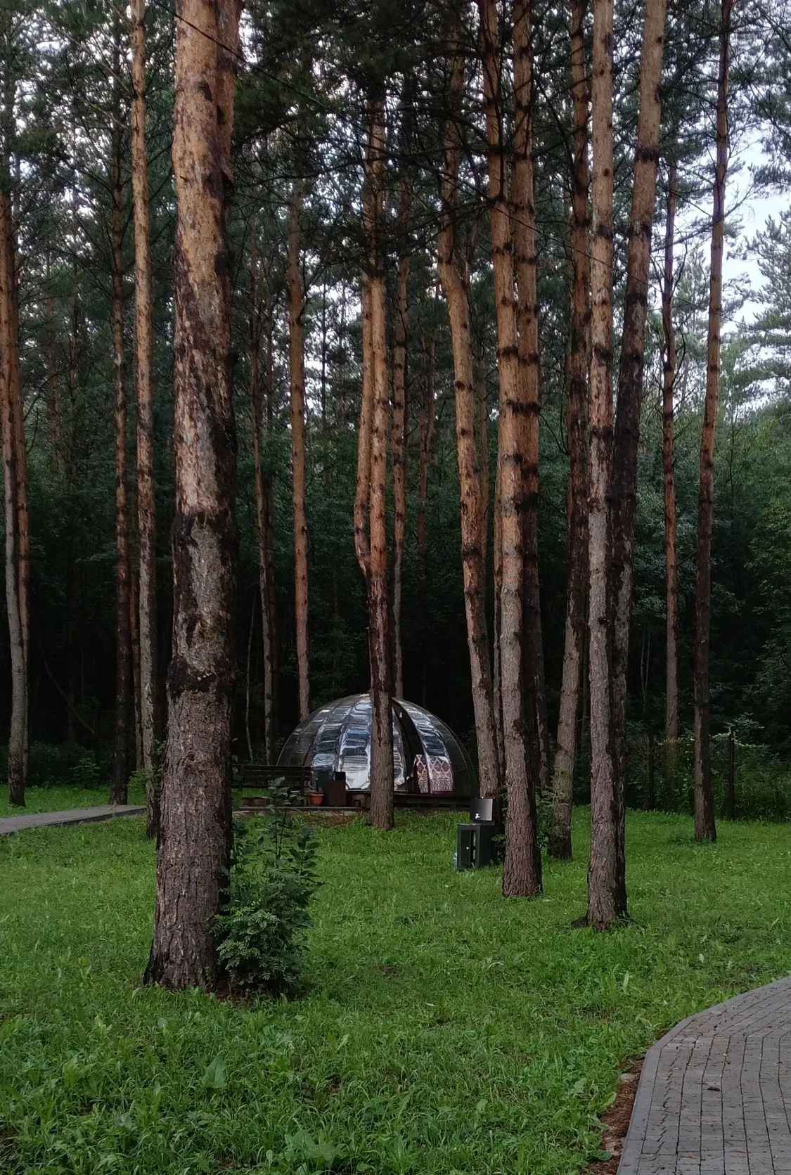 5 причин приехать на «Салаирские плесы» осенью!
