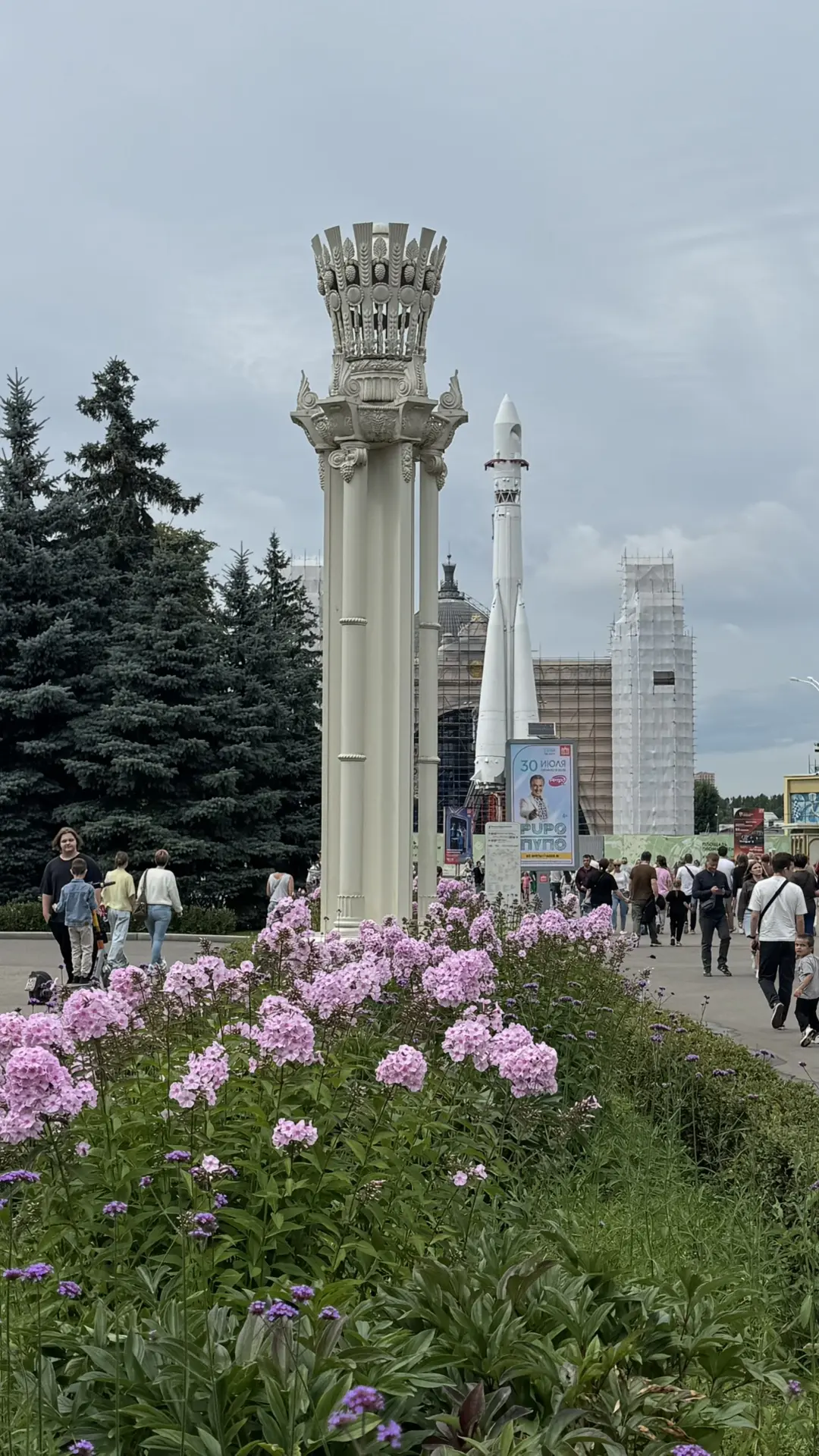 Флоксы пахнут бабулей, летом из детства, беззаботностью