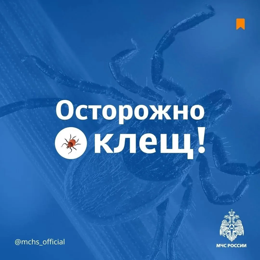 ❗Осторожно! Клещ!
