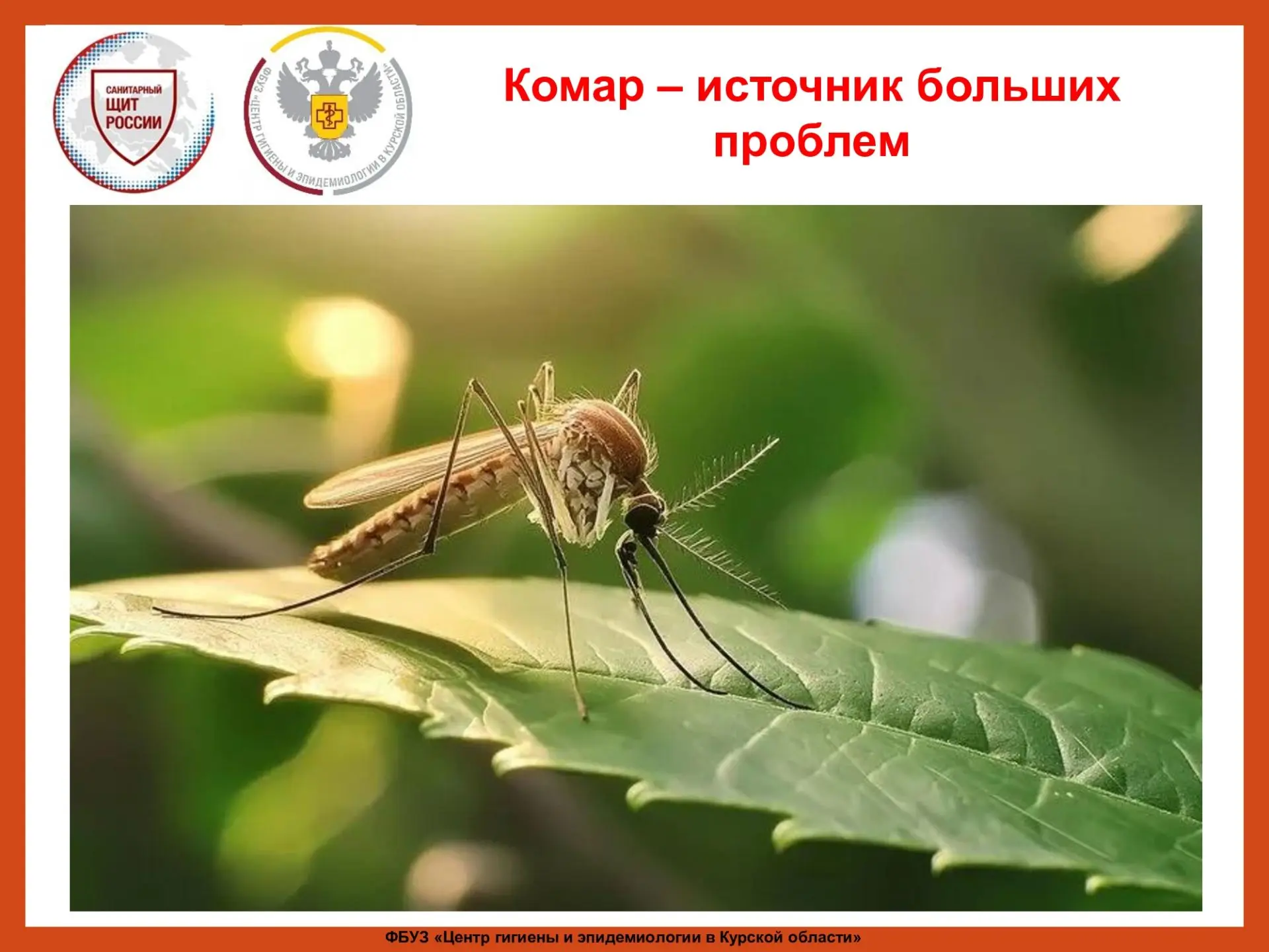 Ежегодно 20 августа отмечается Всемирный день комара 🦟 . Инициатива отмечать его прина...