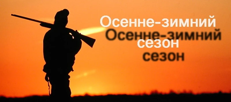 Открытия охоты по регионам России и ближайших соседей