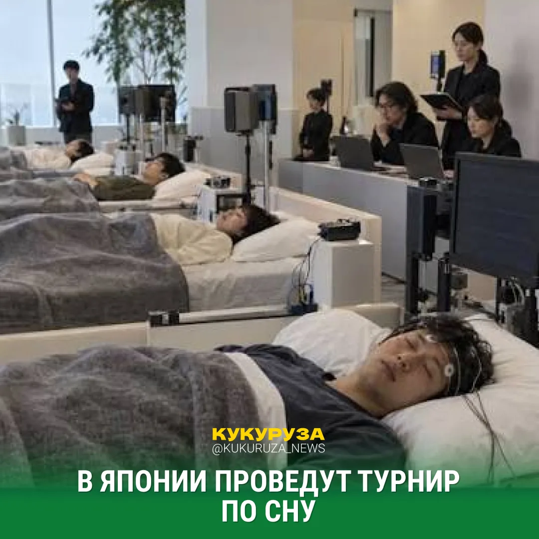 Общий сбор, кукурузники! Для нас с вами придумали идеальное соревнование 😁