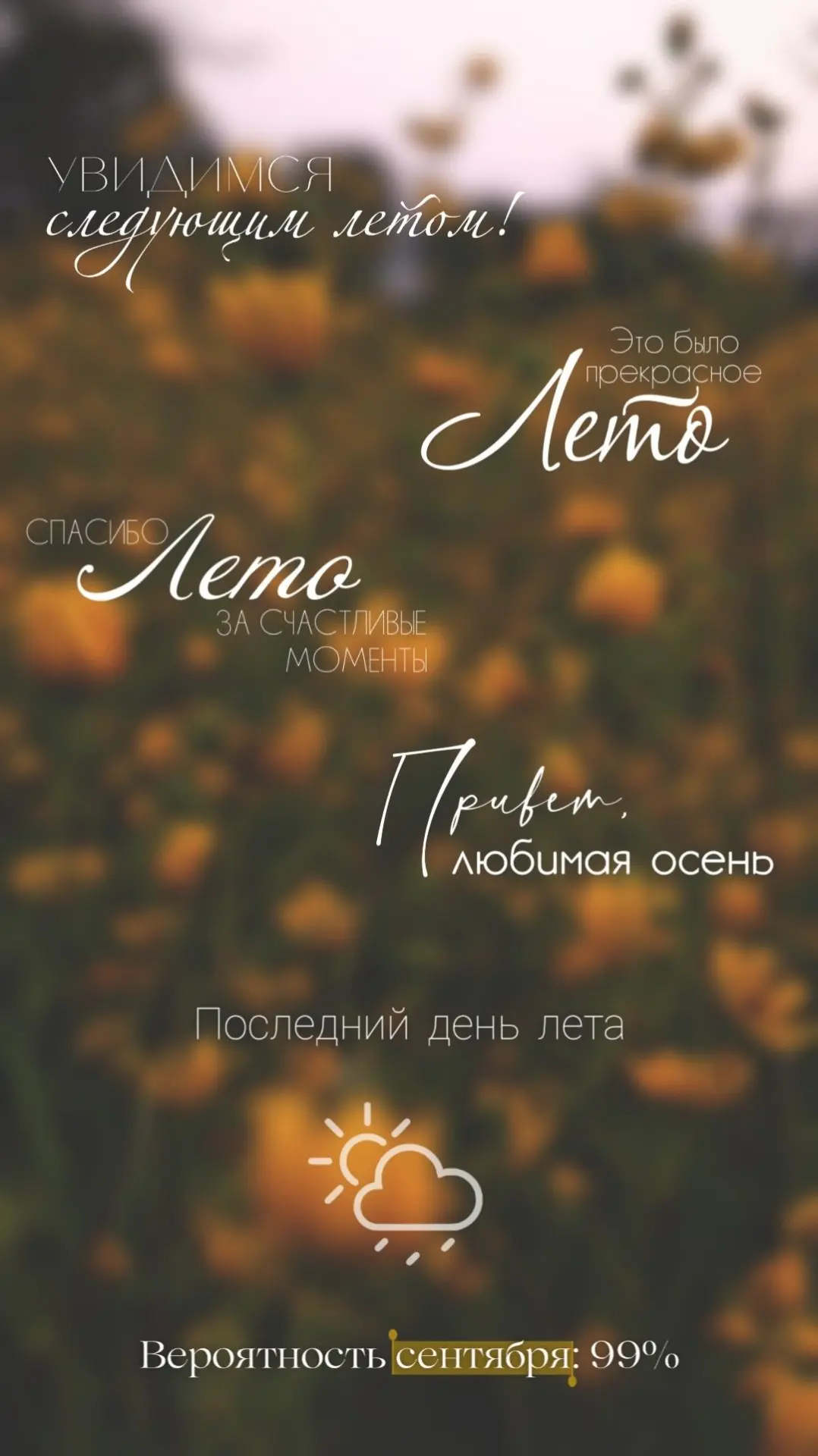Доброе утро✨