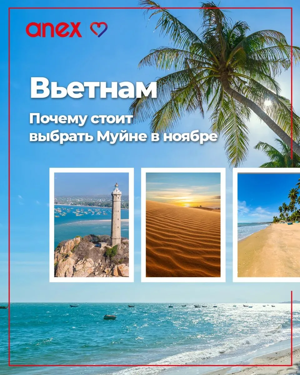 🌺С ноября в Муйне начинается один из лучших периодов для отдыха у моря. Курорт переход...