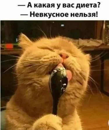 Не много юмора на ночь🍁