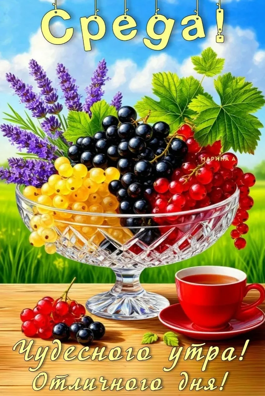 ~Открытки и Поздравления~