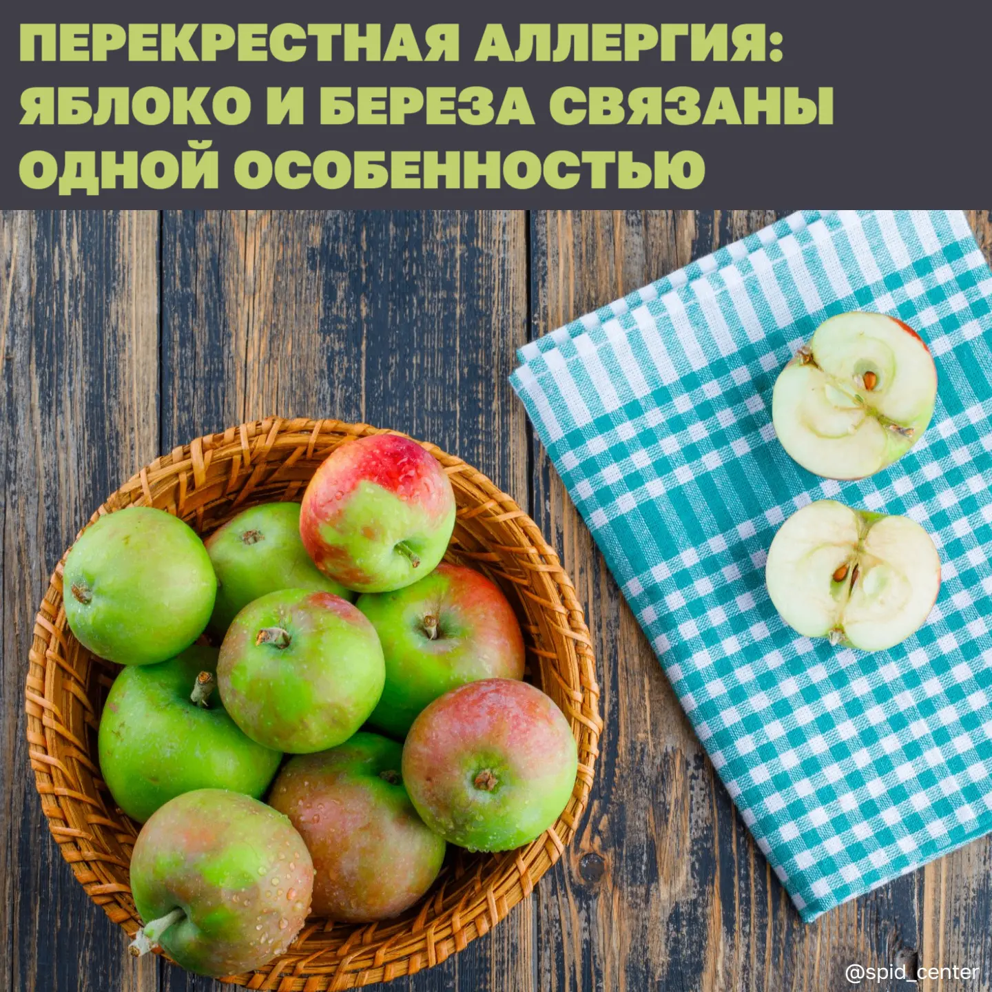 Как связаны береза и яблоко