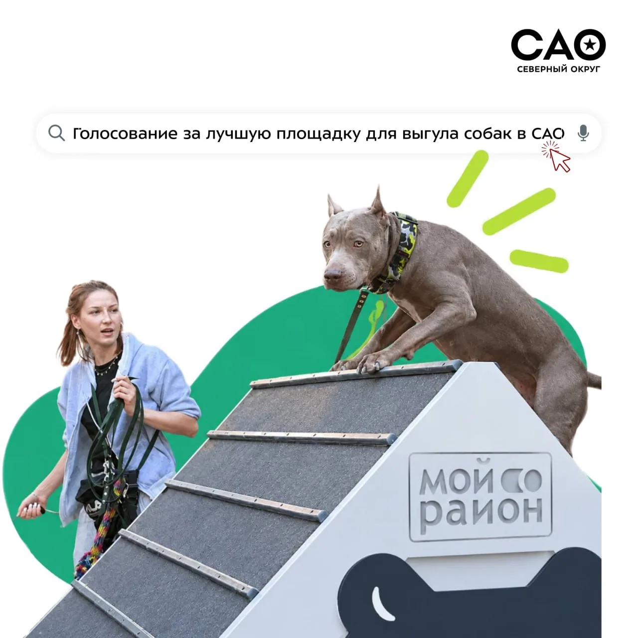 🐶 Жители Северного округа могут выбрать лучшие новые площадки для выгула собак