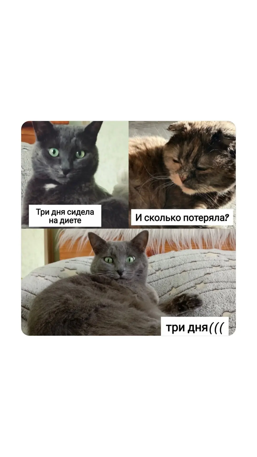 Очень ценю, когда за брендом стоят люди, которые действительно любят своё дело и вклады...