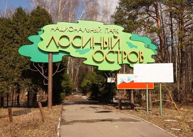 Необычная прогулка для перезагрузки  В Национальном парке «Лосиный Остров» находится необычная босон