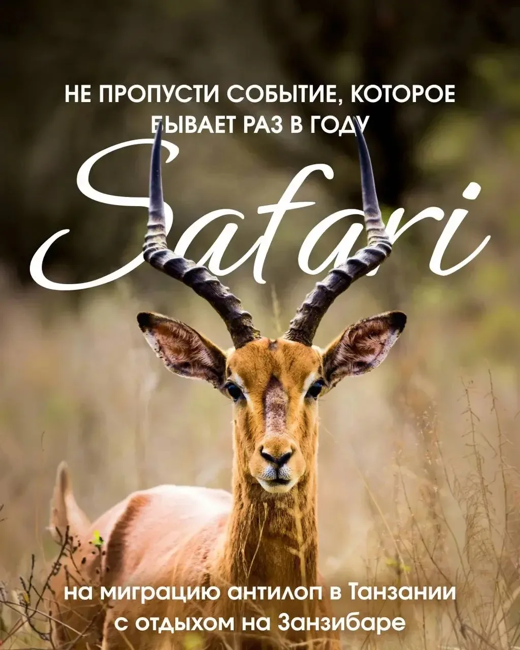 10 дней, после которых ваше сердце навсегда останется в Африке! ❤️🌍