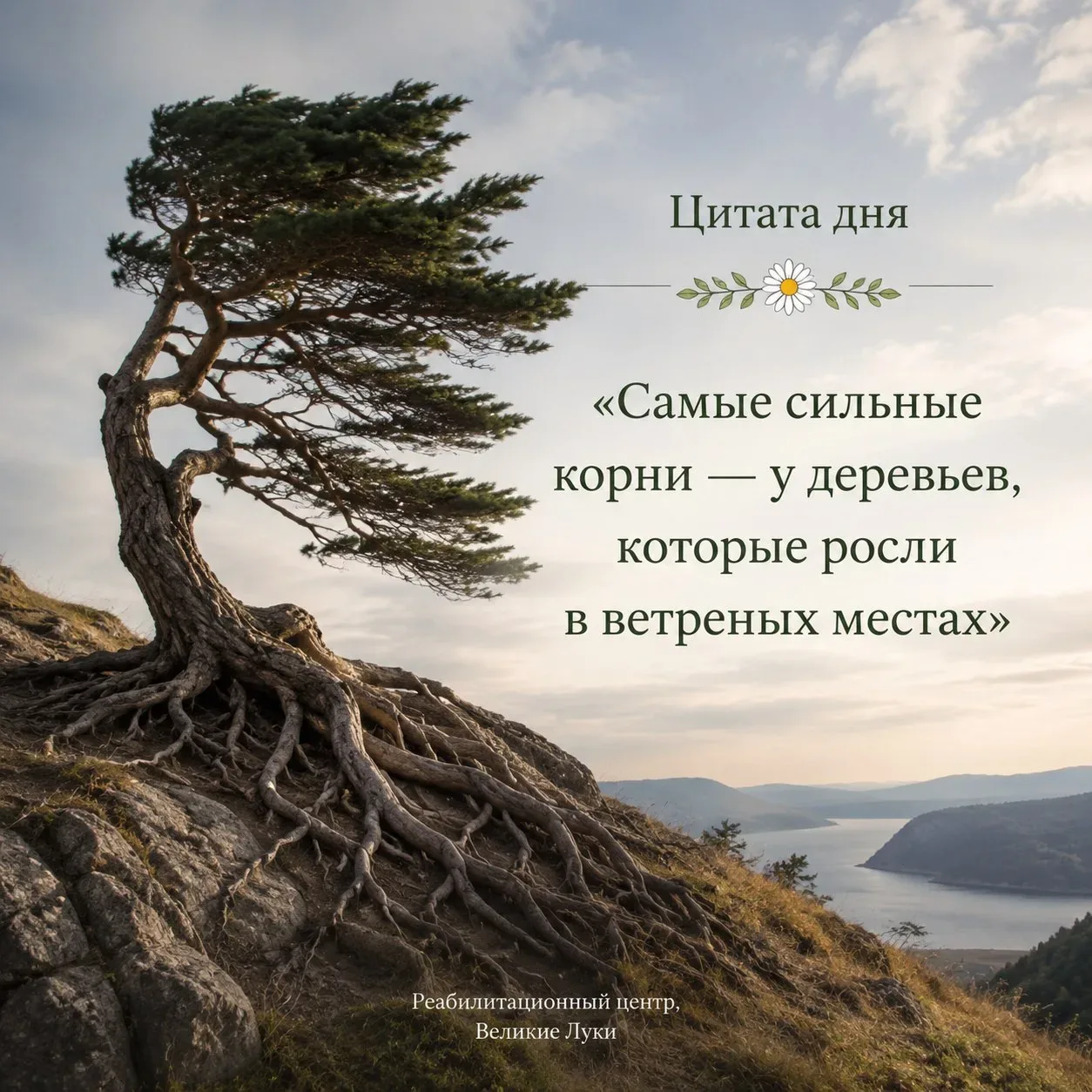 🌼 Цитата дня