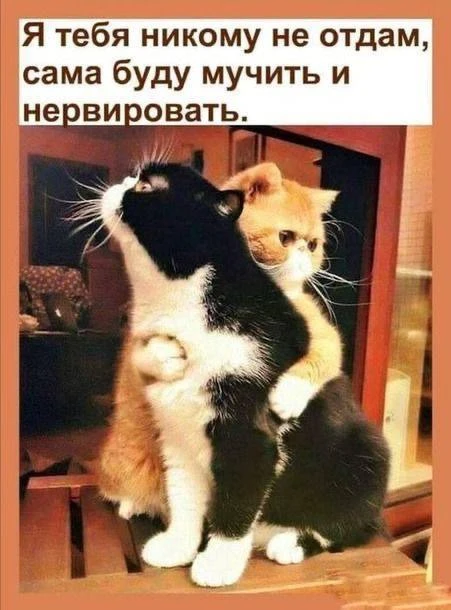 ПОЗДРАВЛЕНИЕ МУЖУ ❤️
Счастье моё. Знаешь, слова всех языков мира слишком малы, чтобы вместить то, чт