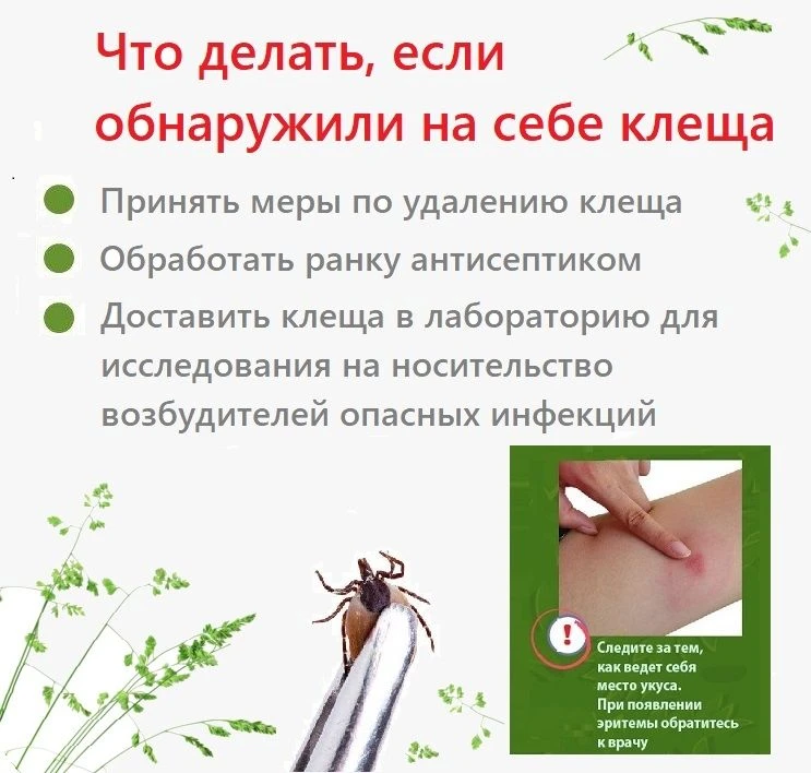 Рубрика  Безопасность