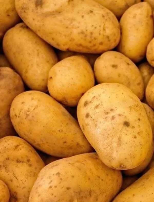 🥔 Уход за почвой после картофеля