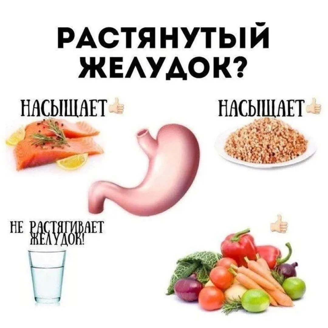 РАСТЯНУТЫЙ ЖЕЛУДОК: МИФ ИЛИ ПРАВДА?