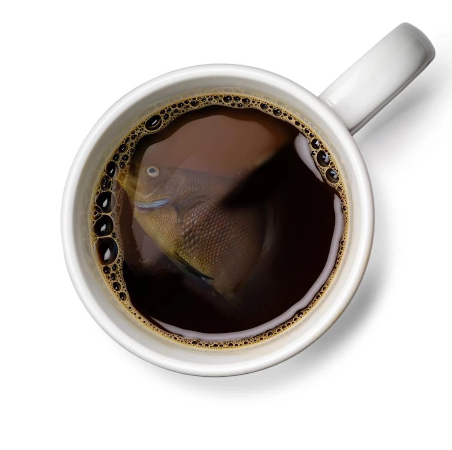 ☕ Вечерний кофе. Всё в соответствии с заветами стихийного революционера Пита Мартелла. 🐟