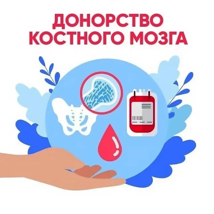 🩸 22 сентября — Всемирный день донора костного мозга