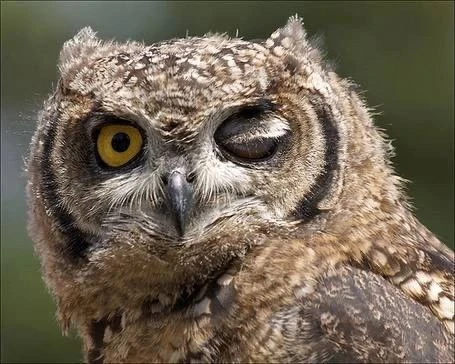 Почему вулкану можно спать столетиями, а мне нет? 😁