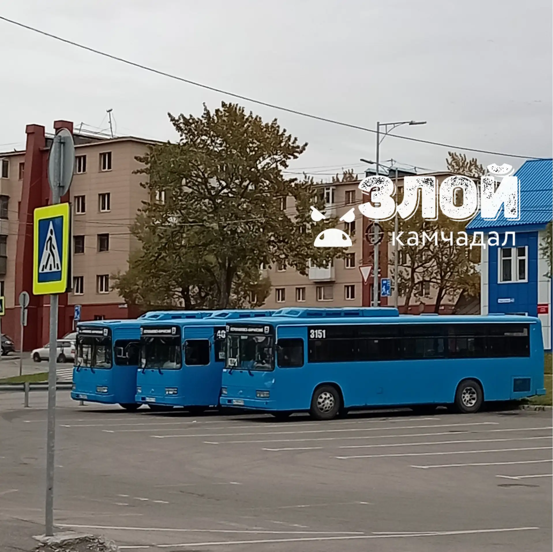 #нампишут