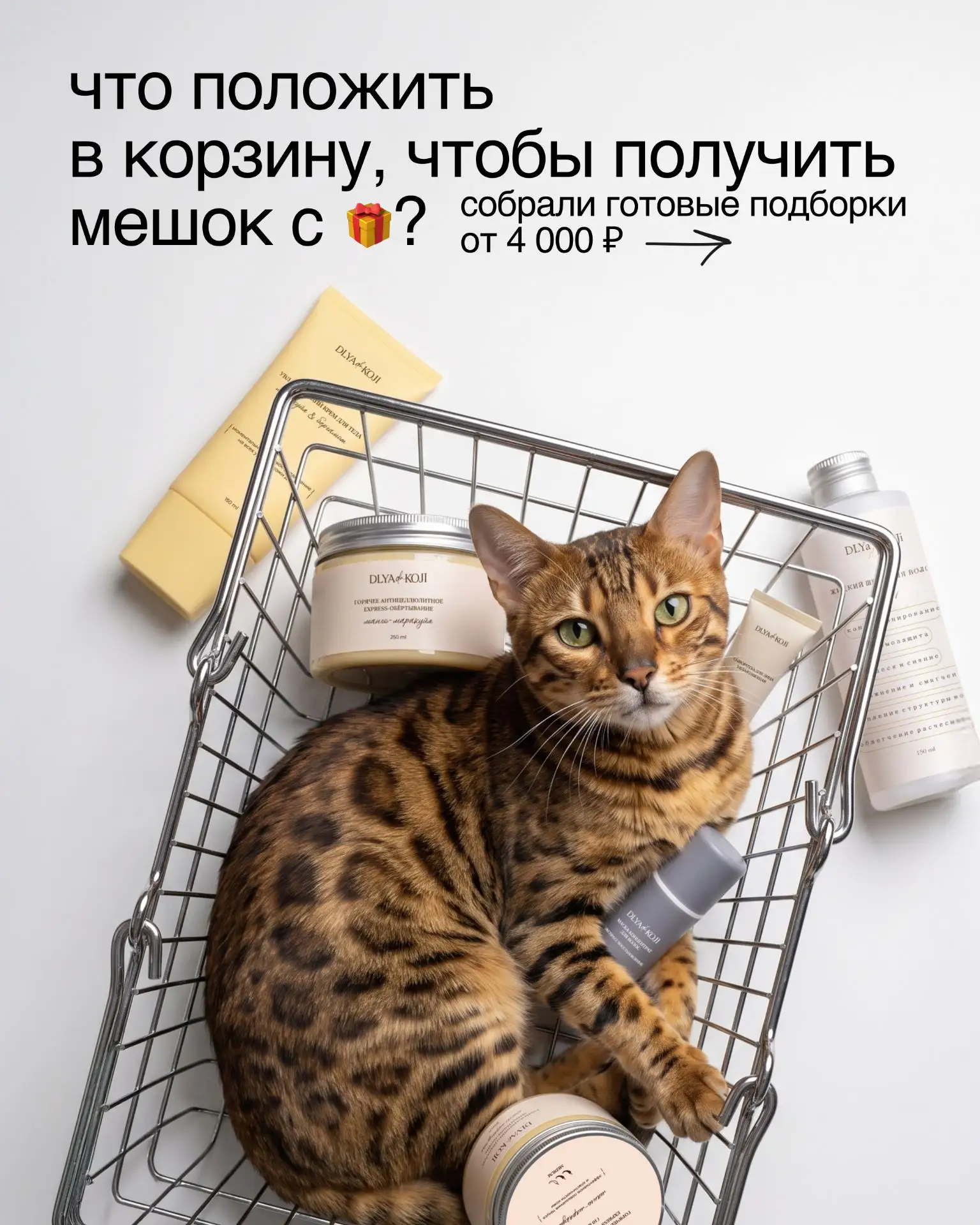 Акция «Кот в мешке» уже вовсю идёт!

Не знаете, с чего начать? Собрали корзины от 4 000 ₽ под разные