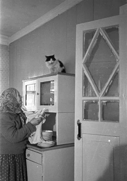 Первый день в новой квартире, 1950-е