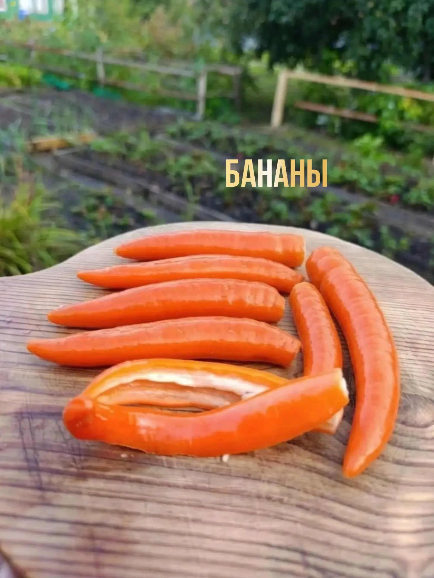 ЗАКАЗЫ принимаю,и так представляю вам каталог перцев, точнее описание и видео можно най...