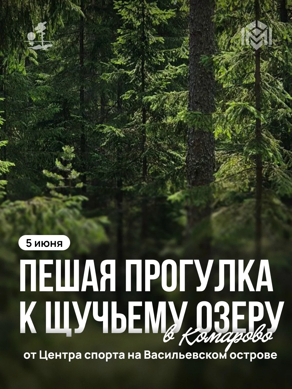 Начинается сезон летних походов! Центр спорта на Васильевском острове проведёт первый маршрут 5 июня