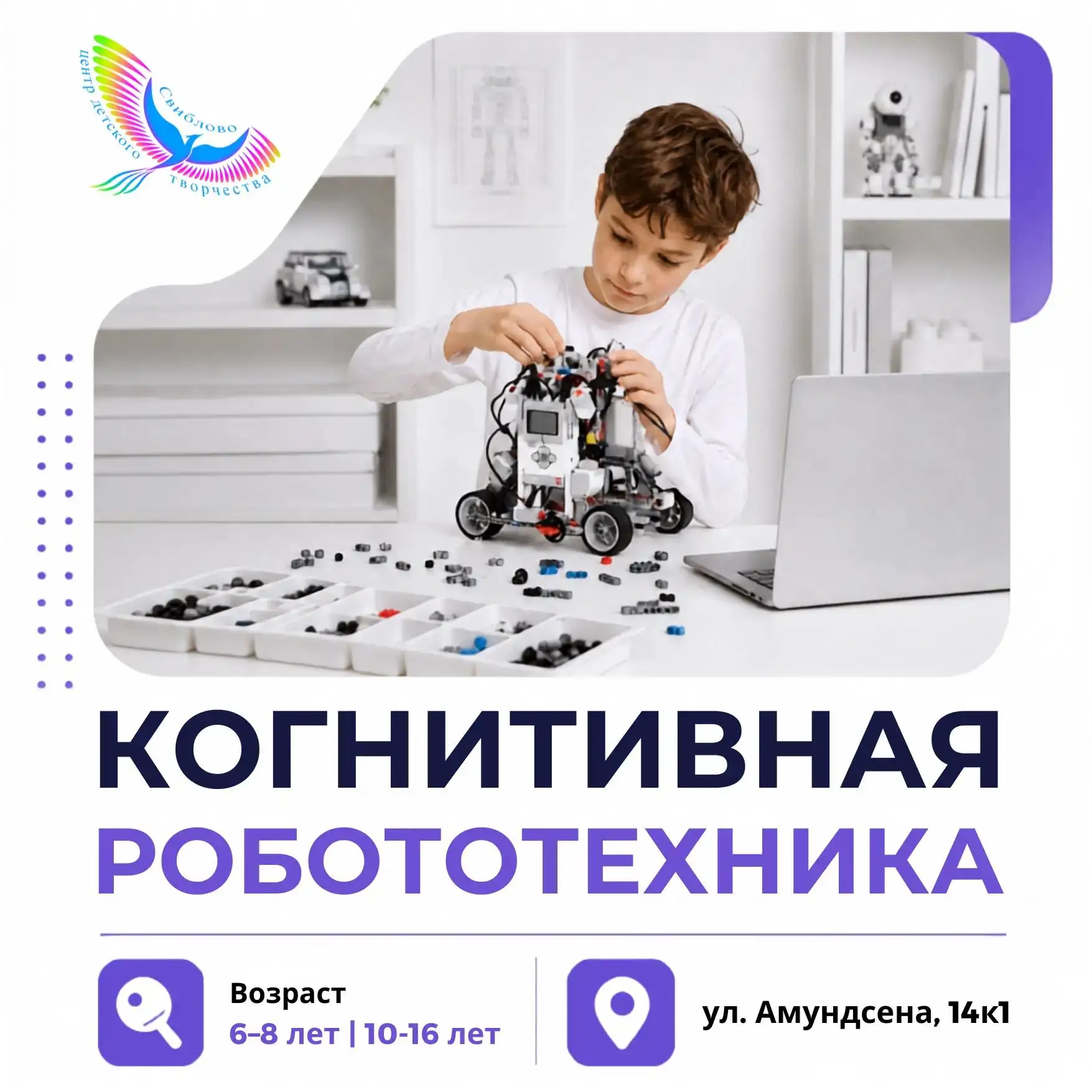#Программы_Свиблово