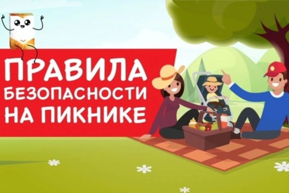 Правила безопасности на пикнике
