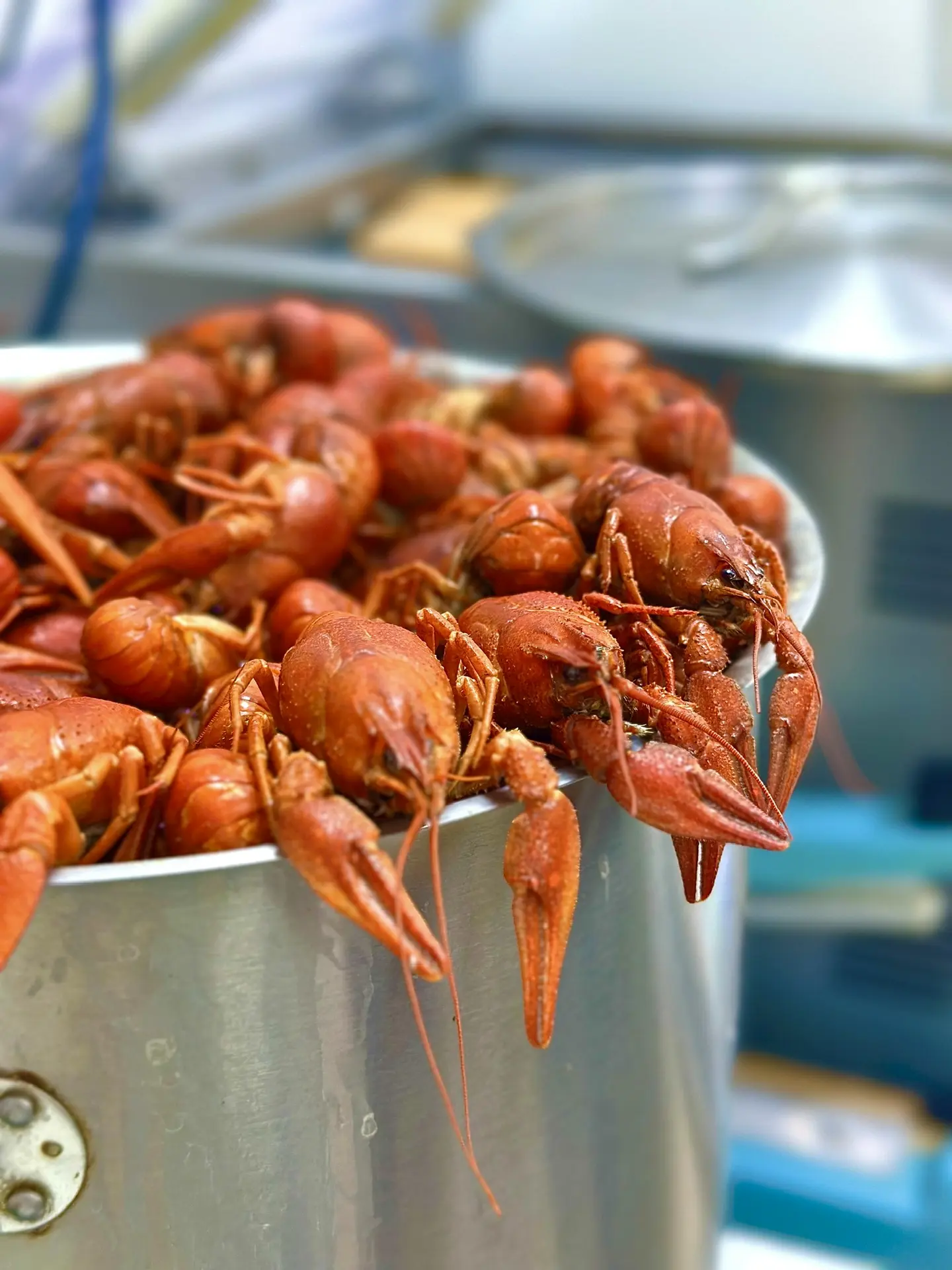 РАКИ СВАРЕНЫ🦞🦞🦞