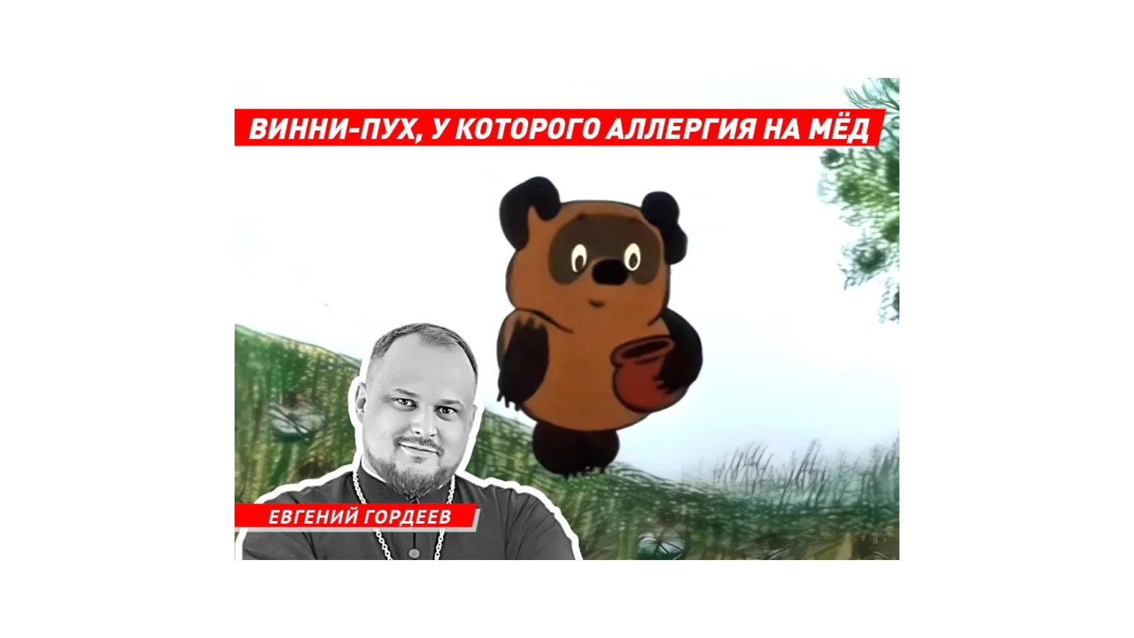 Волжский священник рассказал о Винни-Пухе, у которого аллергия на мёд