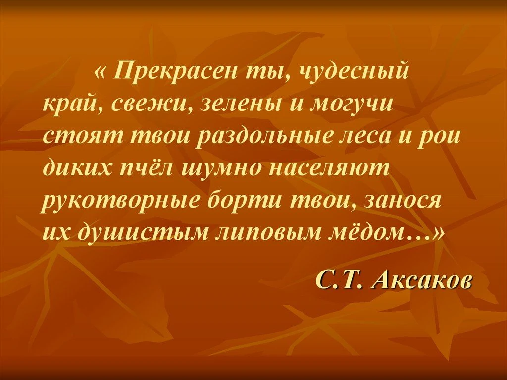 Уфимский районный Дом детского творчества стал частью районного фольклорного праздника ...