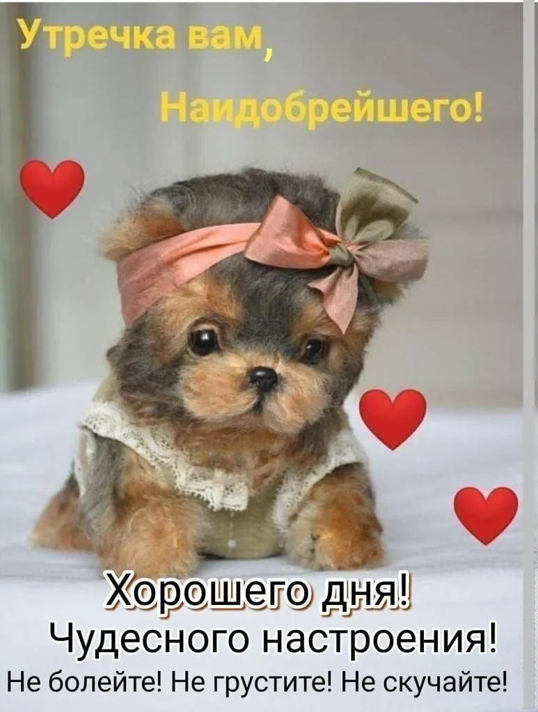 С добрым утром!☀️