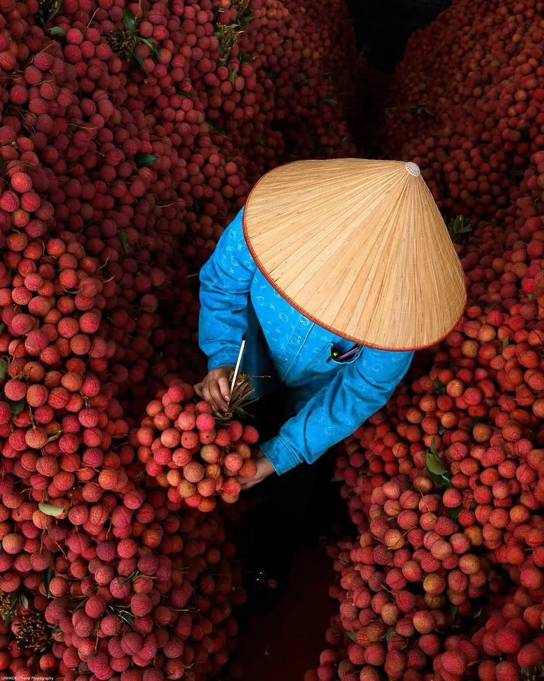 🌰 Сезон личи в разгаре!